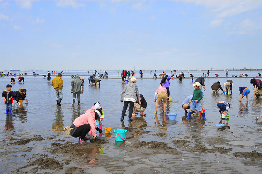 春から初夏の海レジャーにおすすめ！富津海岸で潮干狩りに挑戦♪
