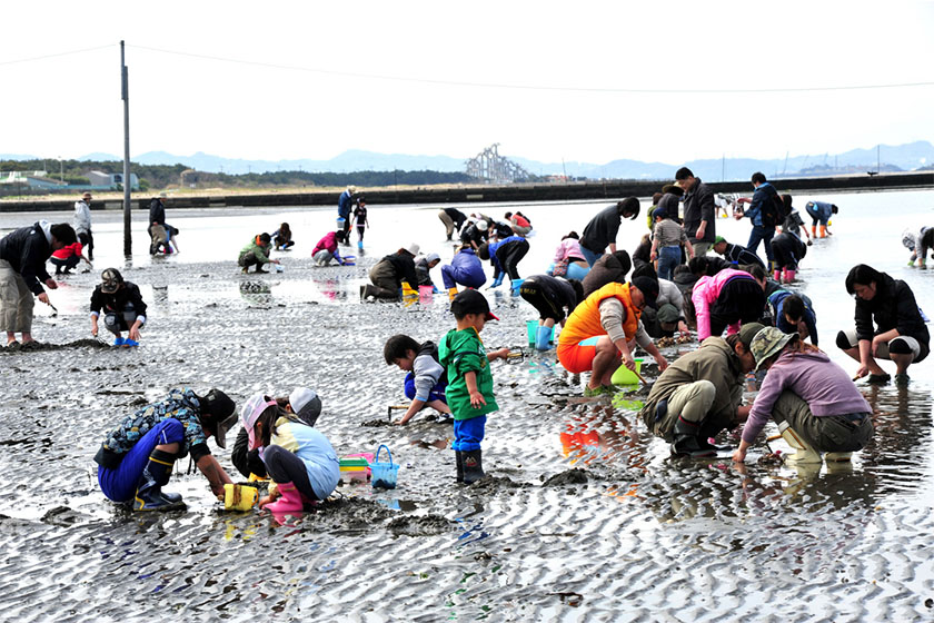 春から初夏の海レジャーにおすすめ！富津海岸で潮干狩りに挑戦♪